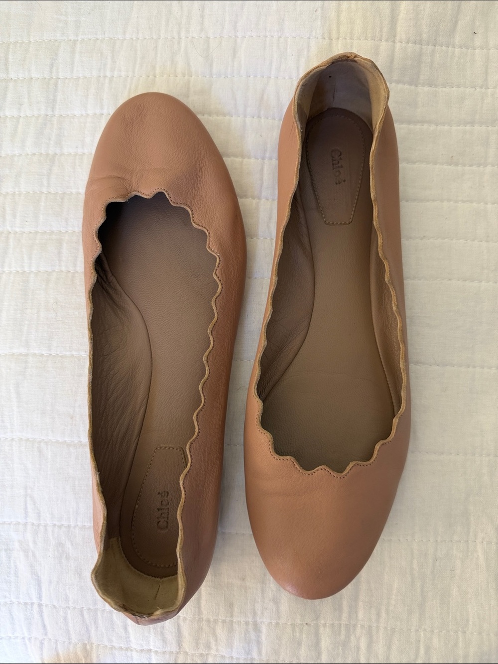 Chloe Lauren Scalloped Ballet Flat